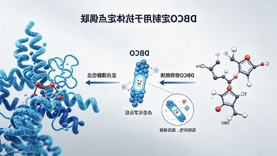 DBCO定制用于抗体定点偶联