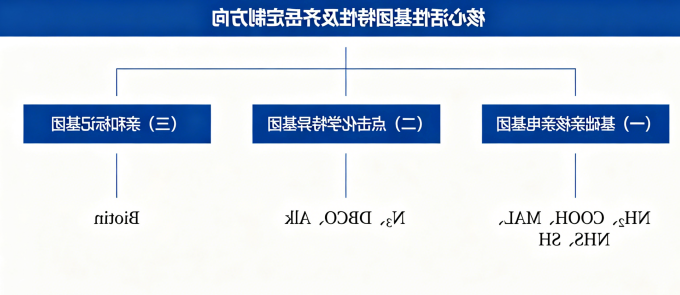 核心活性基团特性及球赛在线直播平台
定制方向