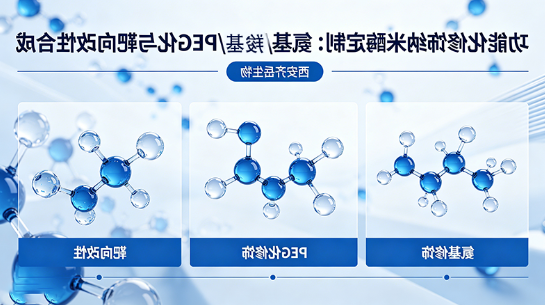 功能化修饰纳米酶定制：氨基/羧基/PEG化与靶向改性合成（西安球赛在线直播平台
生物）