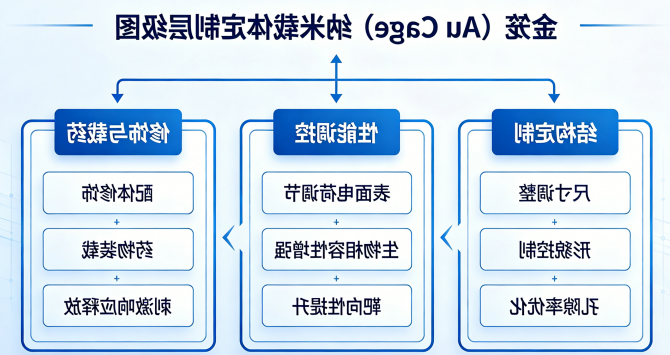 金笼（Au Cage）纳米载体定制