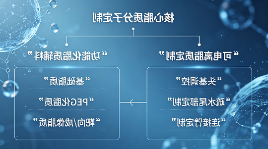 核心脂质分子定制 核心脂质分子定制