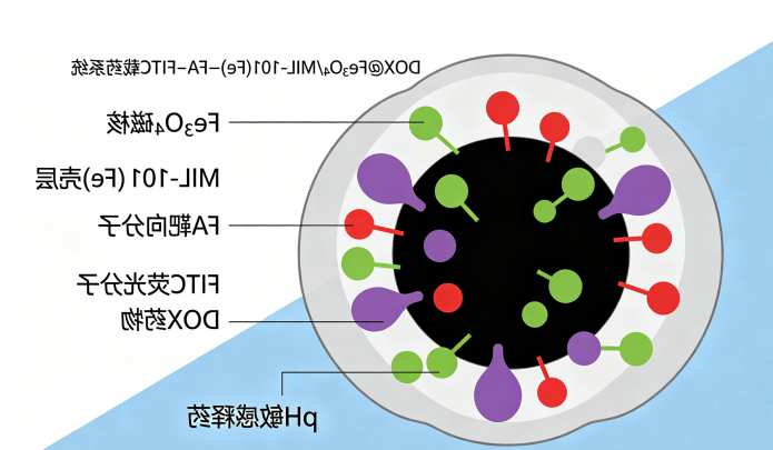 磁 - 荧光双功能 DOX@Fe₃O₄/MIL-101 (Fe)-FA-FITC 载药系统