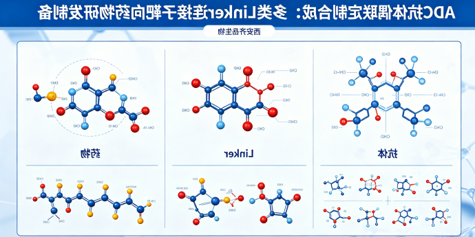 ADC抗体偶联定制合成：多类Linker连接子靶向药物研发制备（西安球赛在线直播平台
生物）