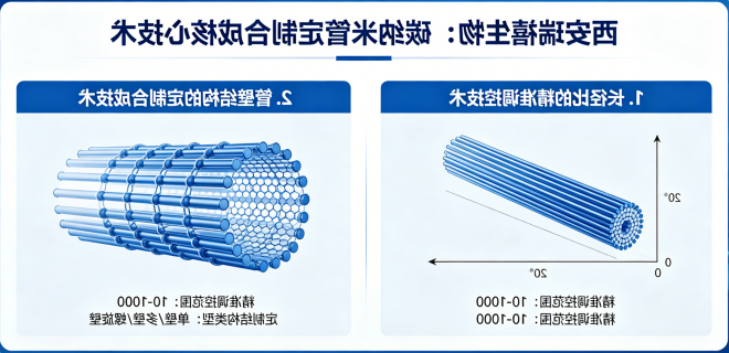 西安球赛在线直播平台
生物：碳纳米管定制合成核心技术
