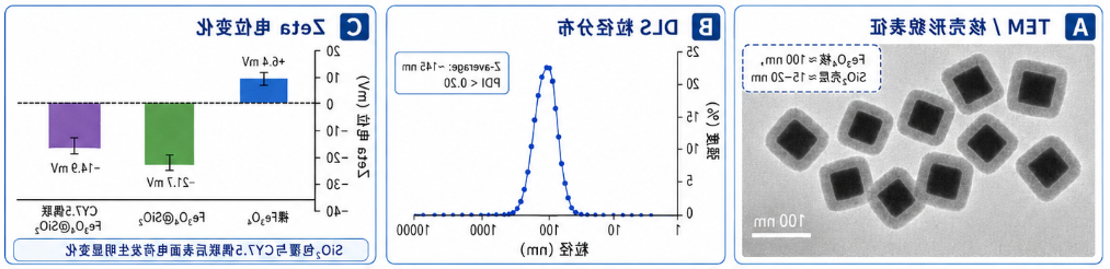 CY7.5近红外荧光标记立方体Fe₃O₄