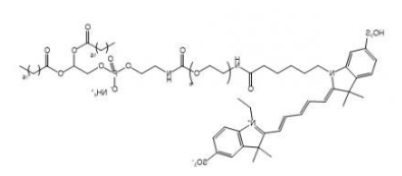 DSPE-PEG-Cy5