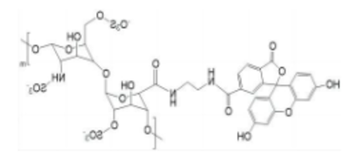 Heparin-FITC
