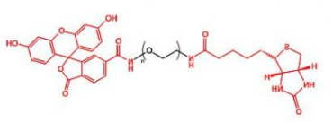 Biotin-PEG-FITC