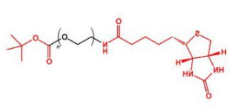 Biotin-PEG-COOtBu