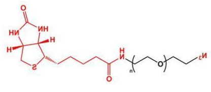 N3-PEG-Biotin