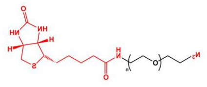 N3-PEG-Biotin