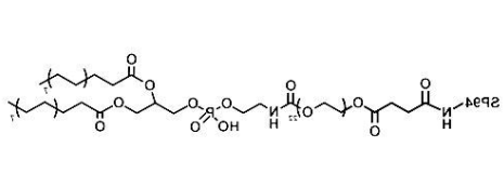 DSPE-PEG-SP94