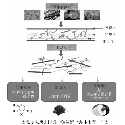 木质纤维素的生物利用理念(供应纤维水凝胶定制服务)