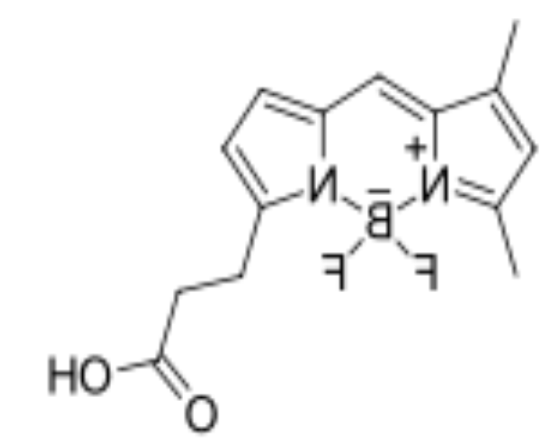 BDP FL carboxylic acid,cas165599-63-3,bodipy荧光染料试剂