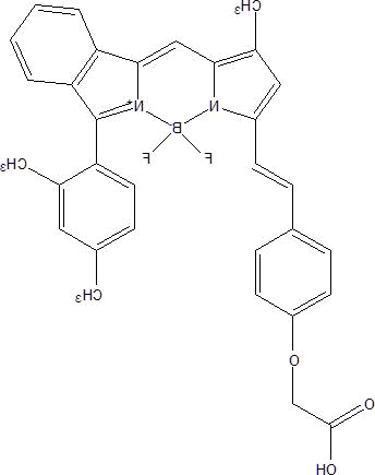 定制产品-波长在500-800nm的Bodipy系列染料介绍(含近红外染料)
