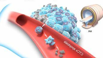 CY3-CTT2,CY3标记多肽CTT2,荧光标记来源于肿瘤靶向肽库的短肽