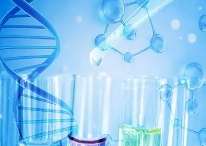 poloxamer188-b-PCL-S-S-DOX：氧化还原敏感型纳米粒 定制技术