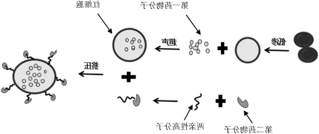 温度及pH敏感性羧甲基壳聚糖水凝胶定制合成