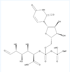 UDP糖 | UDP-GlcA;CAS: 63700-19-6;尿苷5'-二磷酸葡萄糖醛酸三钠；UDP-葡萄醛酸三钠盐