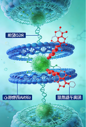 脂质体定制选球赛在线直播平台
,荧光 / 靶向 / 载药一步到位