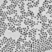 PEG-MAL coating Fe3O4 nanoparticles，50nm/PEG-MAL包覆Fe3O4纳米粒子，50nm