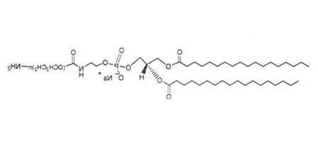 胆固醇-PEG2000-NH2 Cholesterol-PEG-Amine  胆固醇-聚乙二醇-氨基是一种具有良好水溶性共轭亲脂性脂质PEG