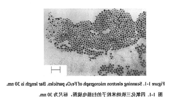CS@Fe3O4 nanoparticles(50nm) 壳聚糖修饰四氧化三铁纳米颗粒(50nm)
