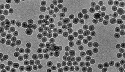 PAA @Fe3O4 nanoparticles(50nm) 聚丙烯酸修饰四氧化三铁纳米颗粒(50nm)