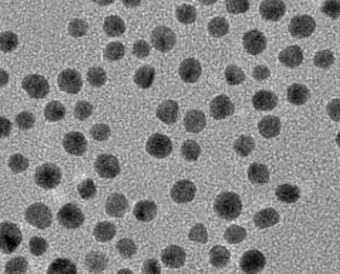 PAA @Fe3O4 nanoparticles(100nm) 聚丙烯酸修饰四氧化三铁纳米颗粒(100nm)