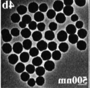 Dextran modified Fe3O4 nanoparticles(200nm)     葡聚糖修饰四氧化三铁纳米颗粒200nm
