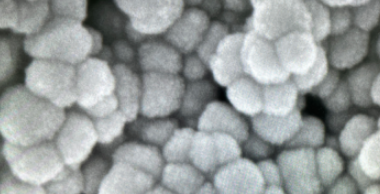 PAA @Fe3O4 nanoparticles(10nm) 聚丙烯酸修饰四氧化三铁