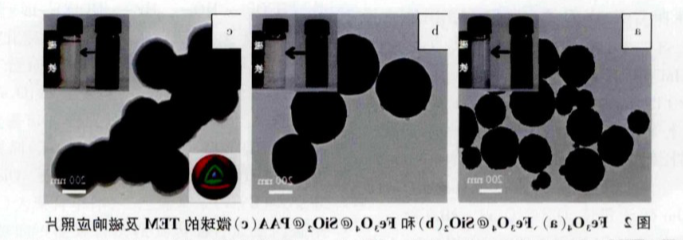 PVP@Fe3O4 nanoparticles(30nm)，粒径可定制