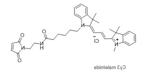 Cyanine3 maleimide Cyanine3 maleimide