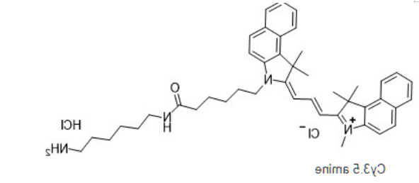 Cy3.5-amine