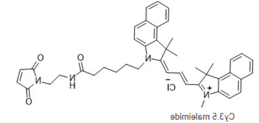 Cy3.5-maleimide Cy3.5-maleimide