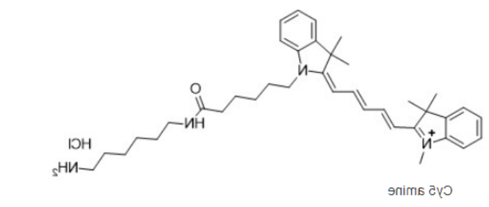 Cy5-amine