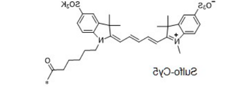 sulfo-Cyanine5