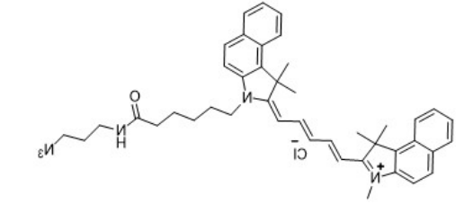 Cy5.5-azide
