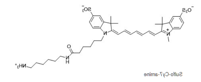 Sulfo-CY7-NH2