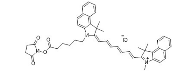 Cy7.5-NHS ester