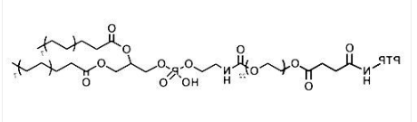 DSPE-PEG-PTP