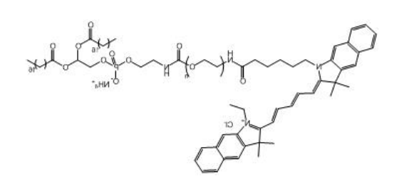 DSPE-PEG2K-CY5.5